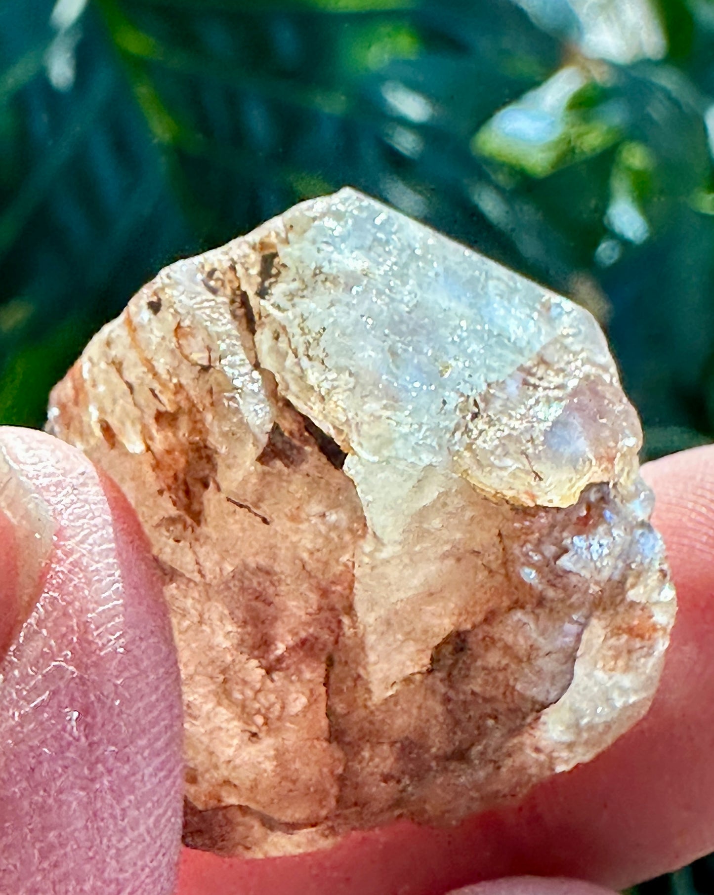 Bi-Colored Topaz