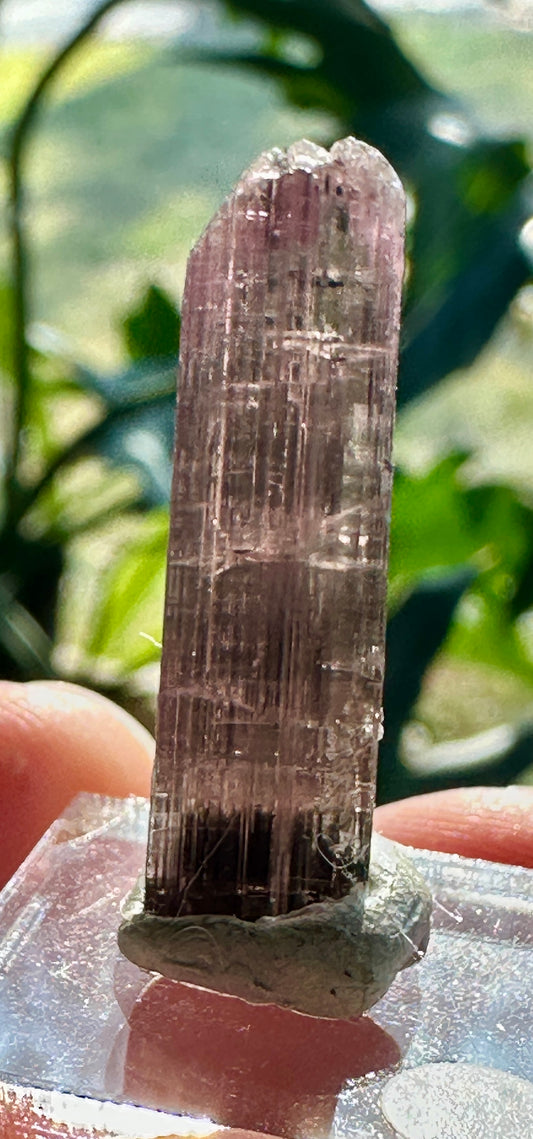 Tourmaline crystal