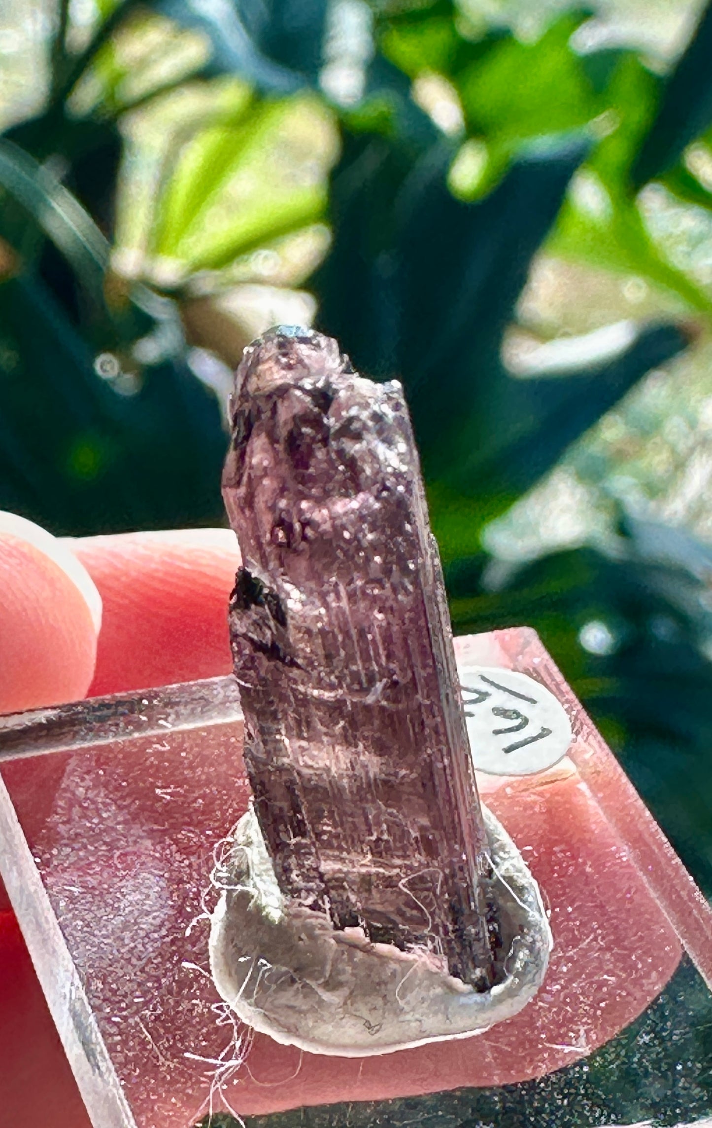 Tourmaline crystal