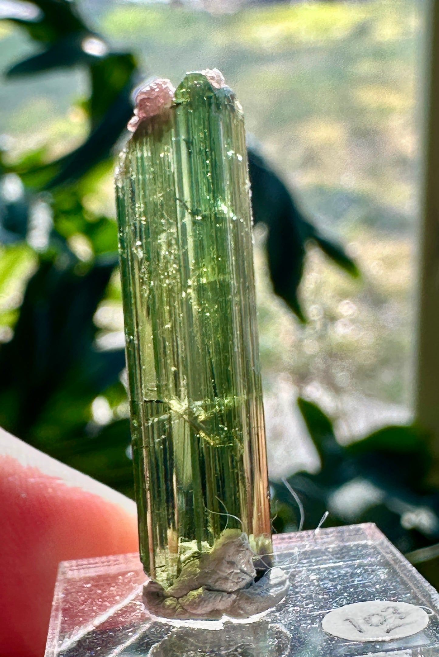 Tourmaline w/ Lepidolite