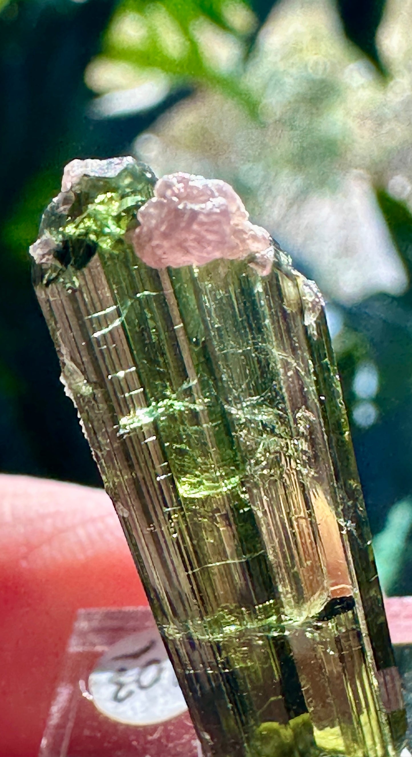 Tourmaline w/ Lepidolite