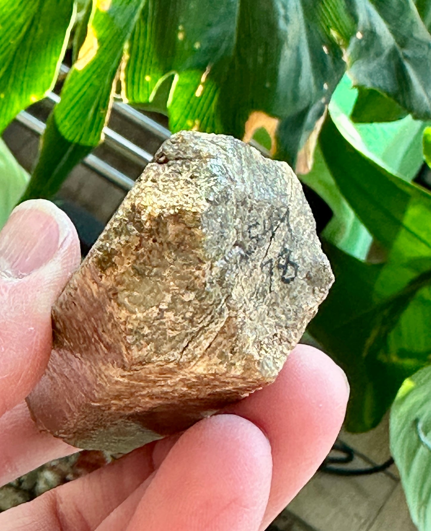 Apatite
