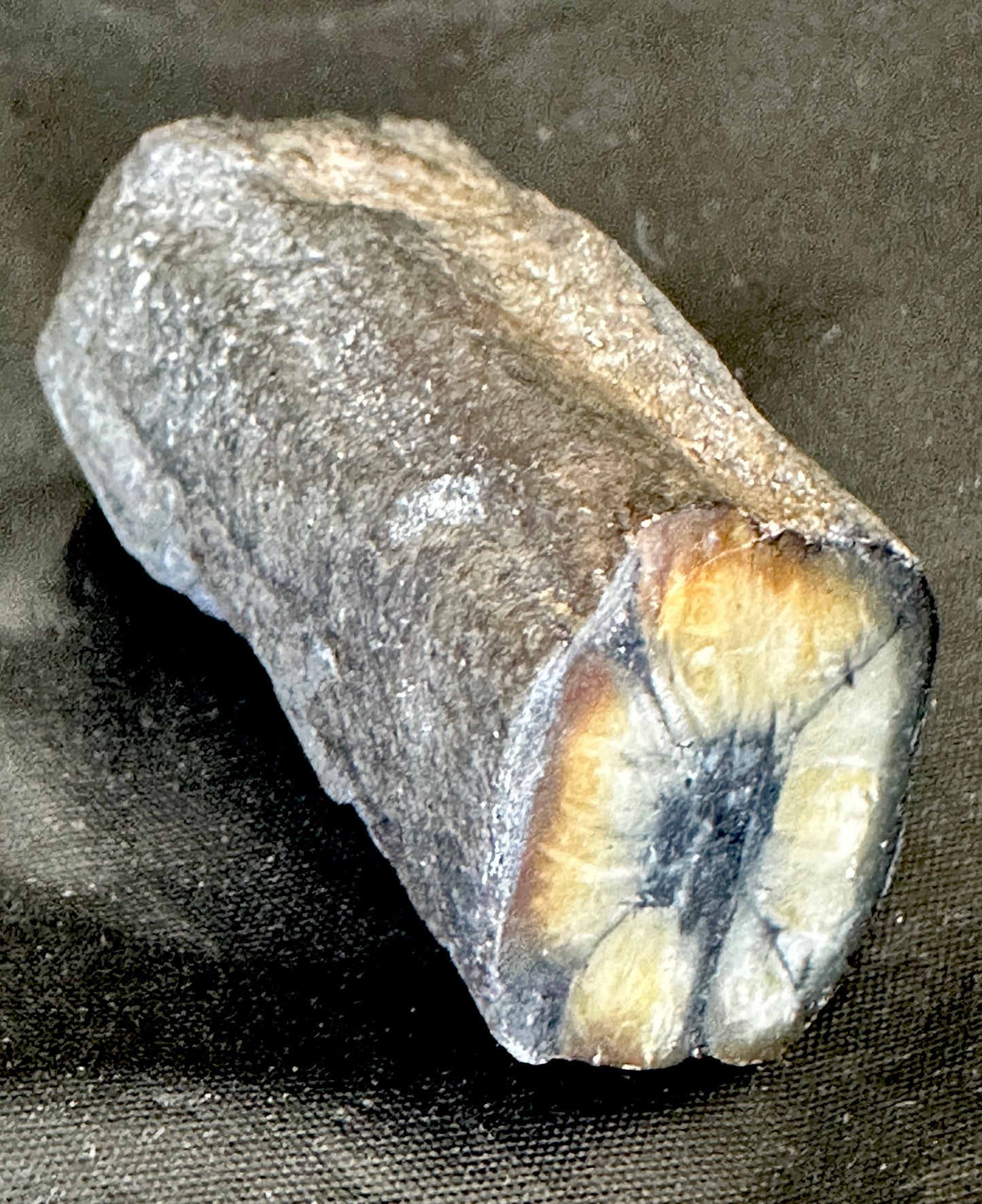Andalusite var: Chiastolite