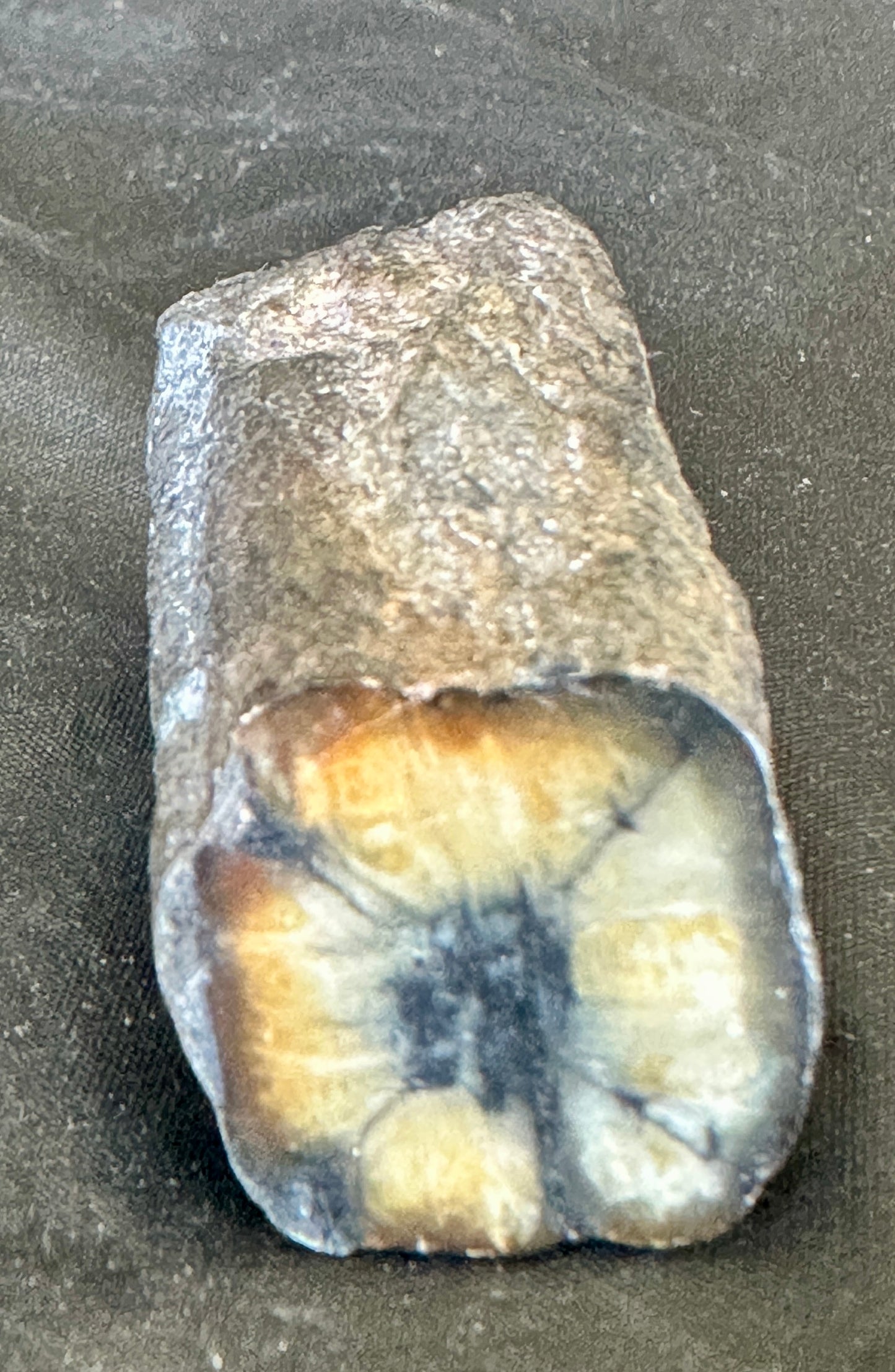 Andalusite var: Chiastolite