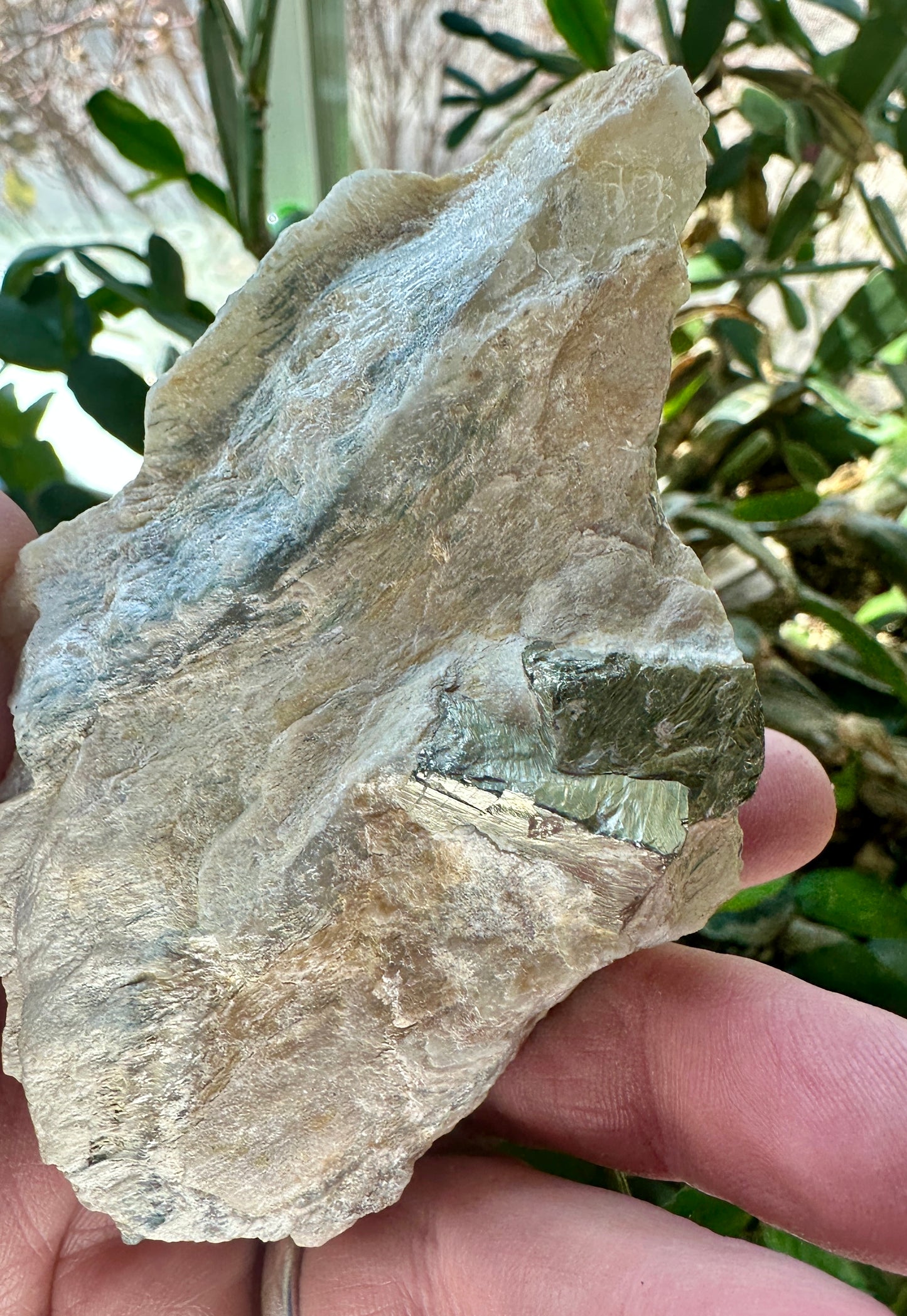 Pyrite in quartz