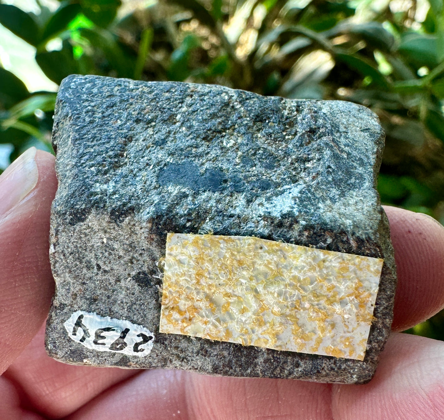 Staurolite
