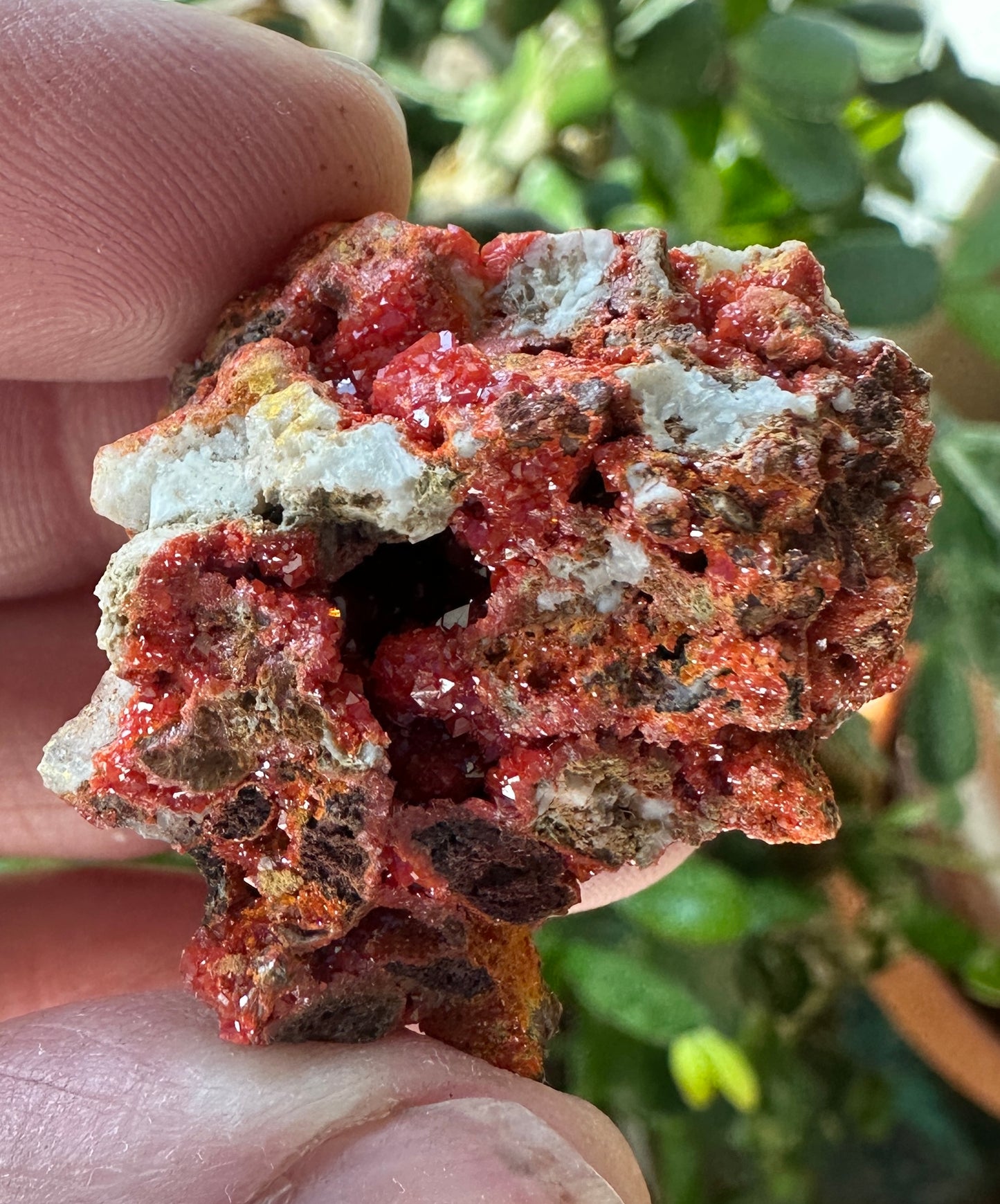 Vanadinite & Wulfenite Combo