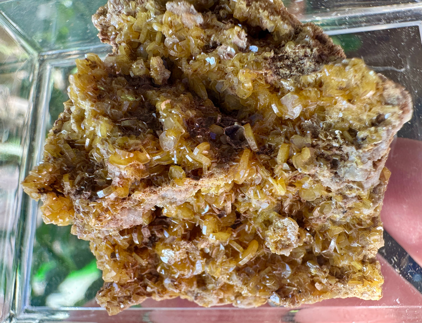 Vanadinite & Wulfenite Combo