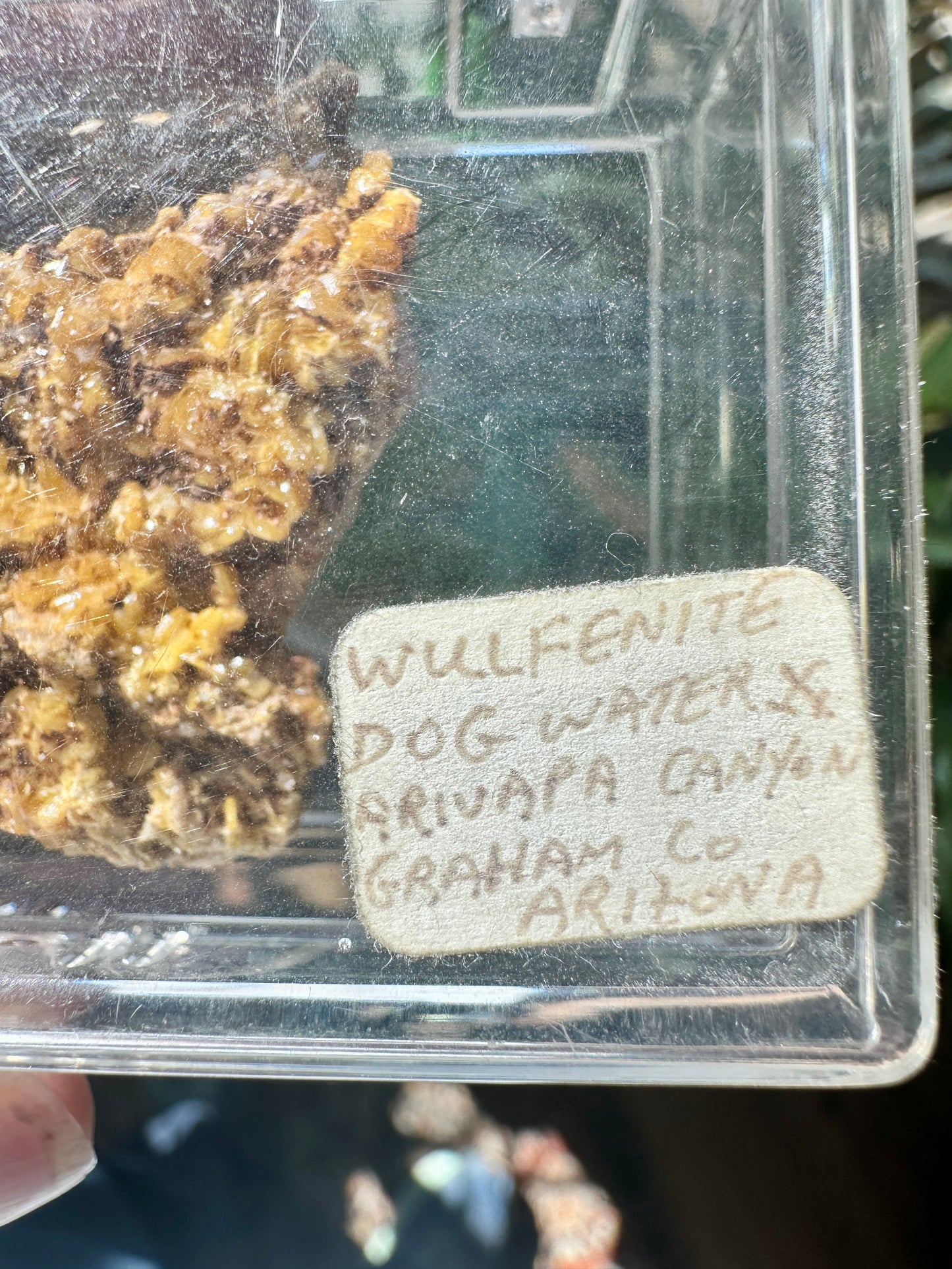 Vanadinite & Wulfenite Combo