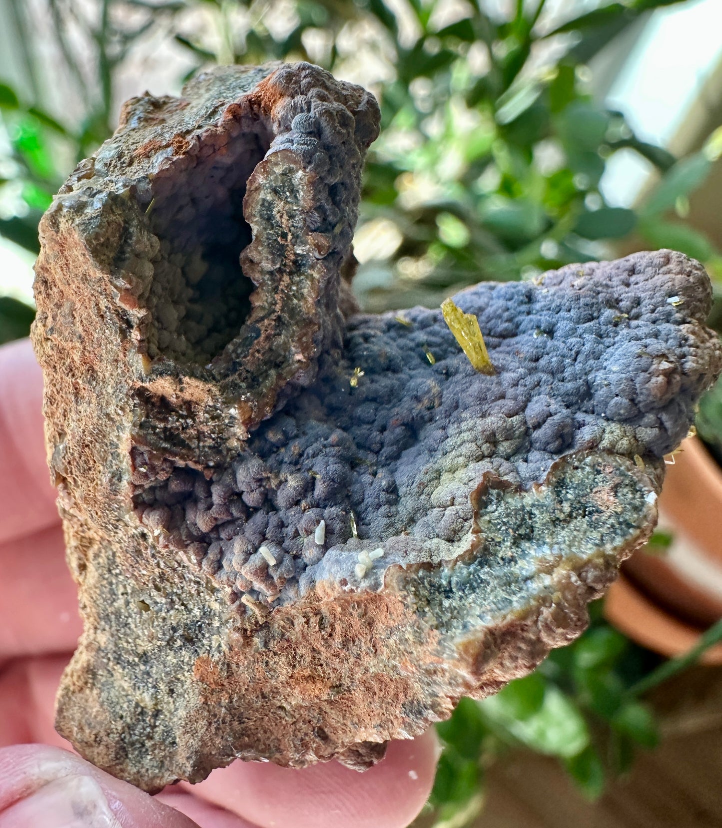 Legrandite on Goethite