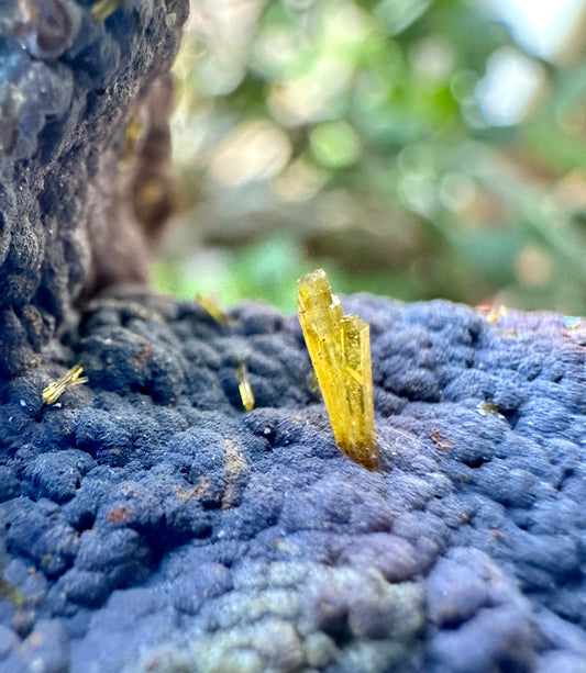 Legrandite on Goethite