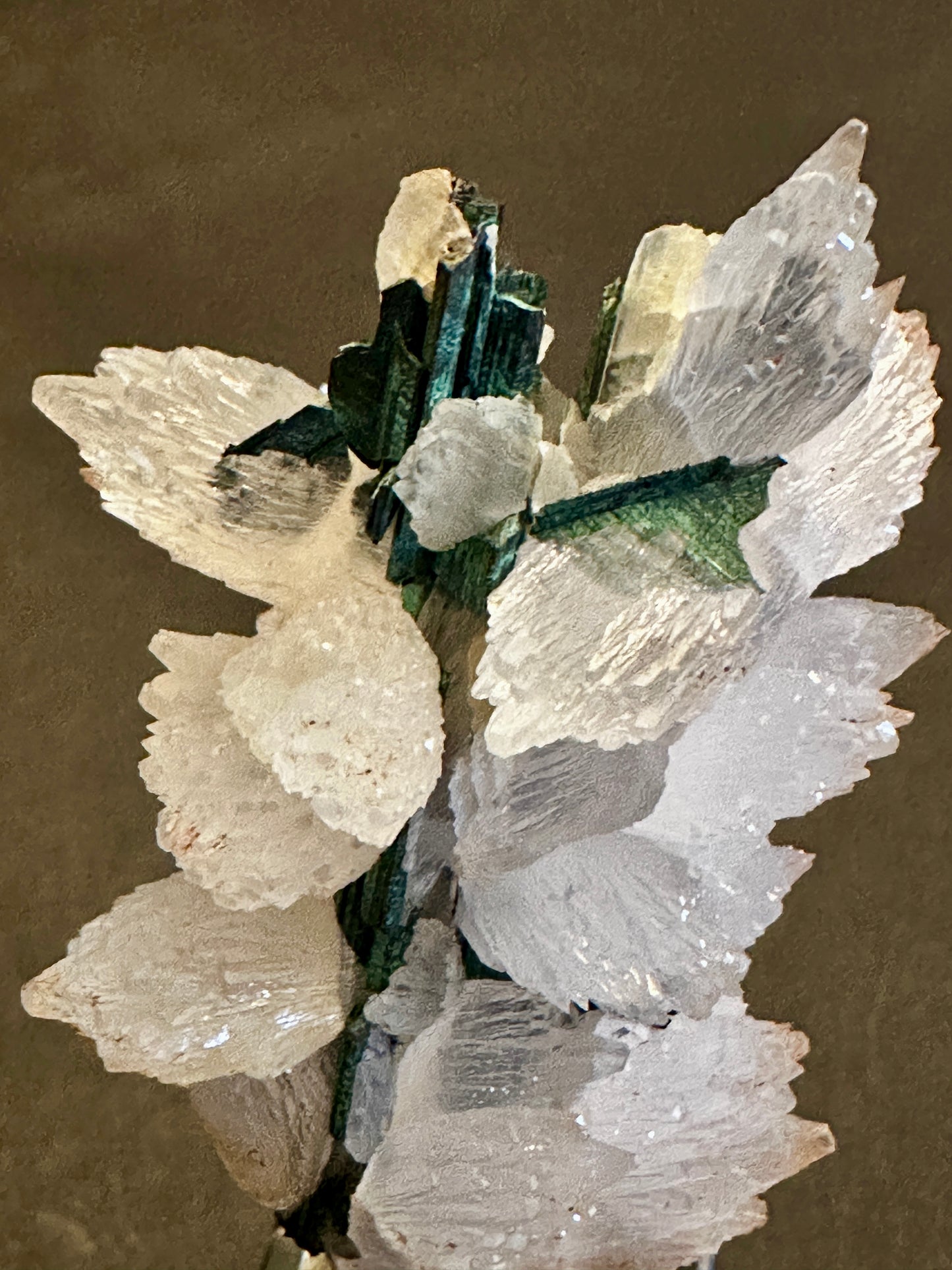 Calcite on Tourmaline
