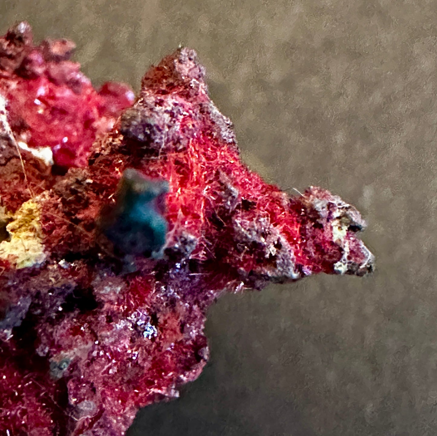 Copper & Cuprite var Chalcotrichite