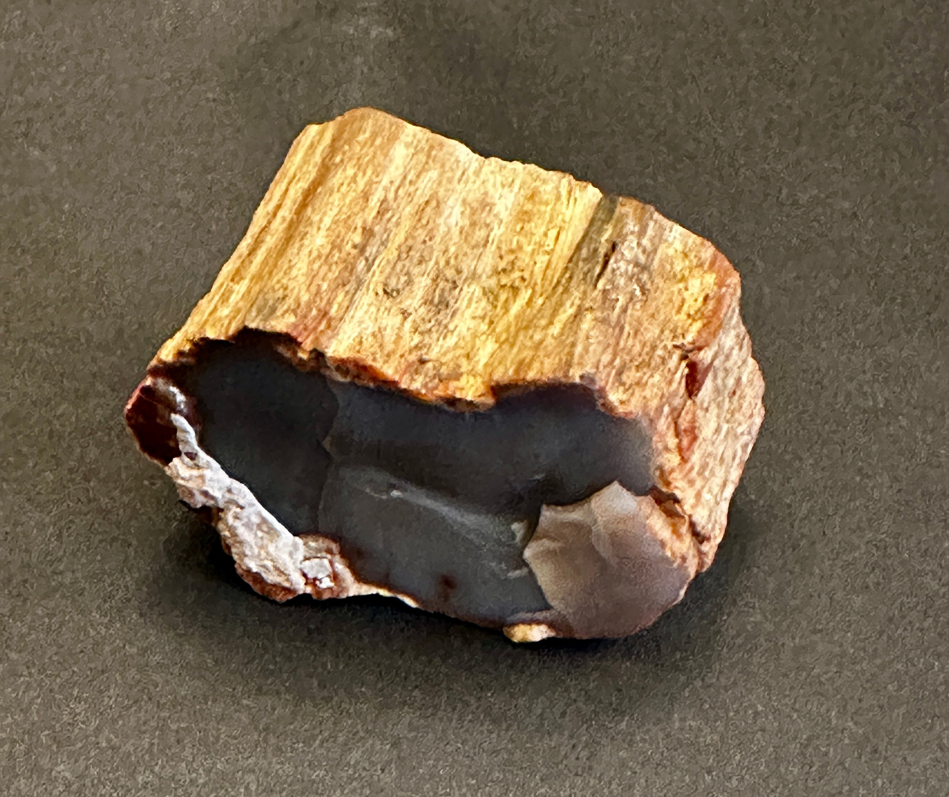 Mineral Rounded Petrified Wood Round – Rock On! Minerals