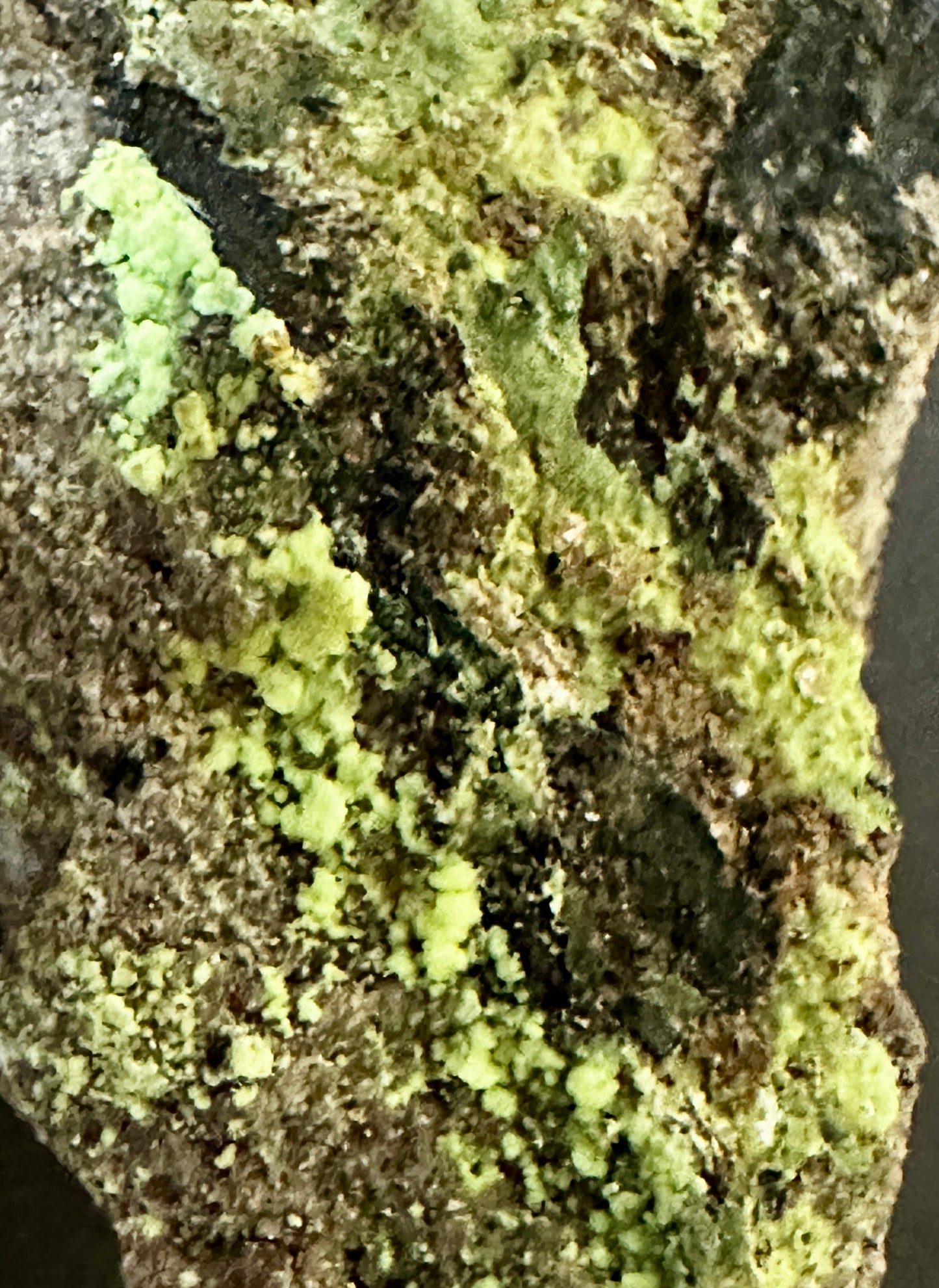Andersonite