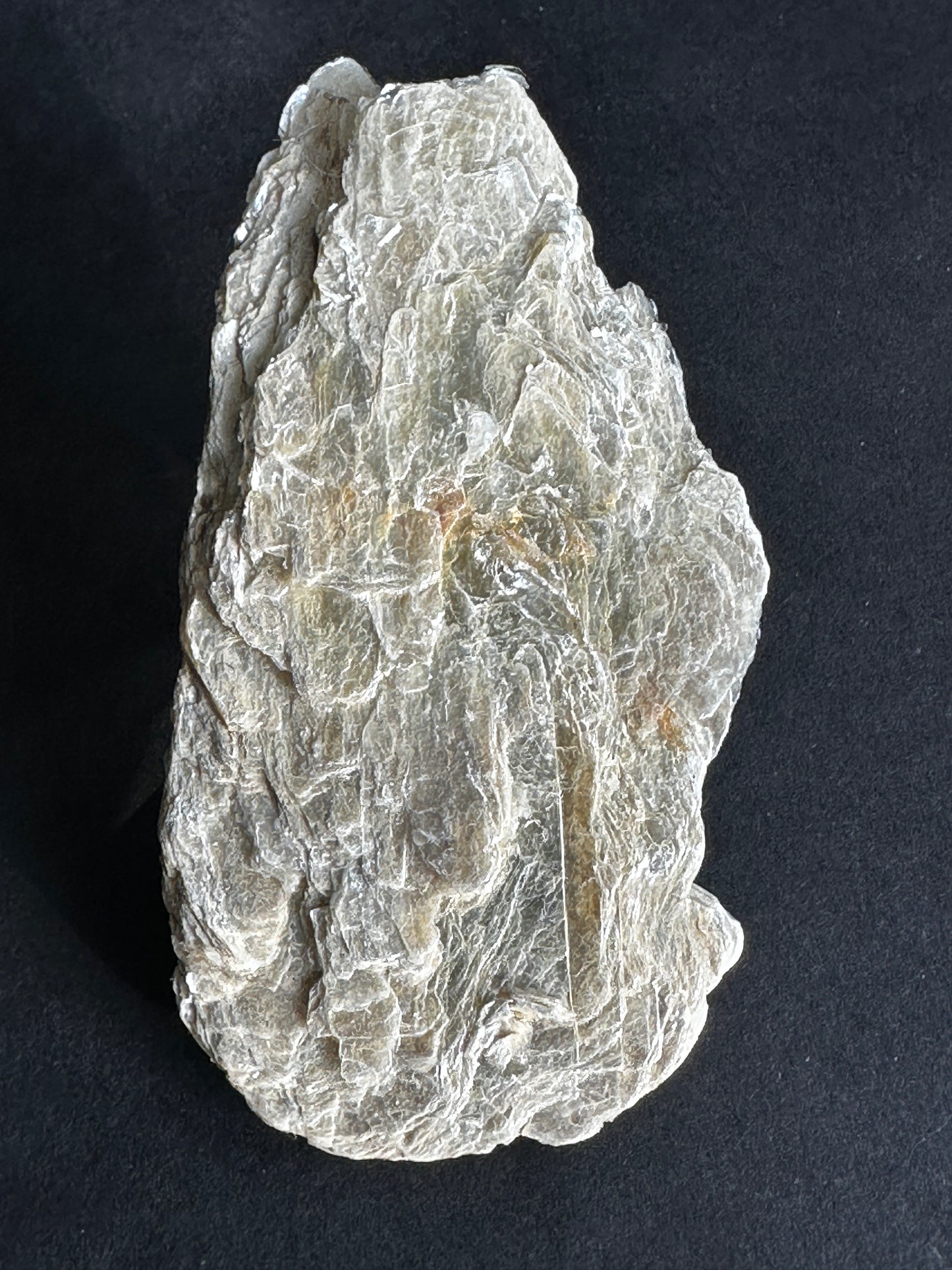 Muscovite