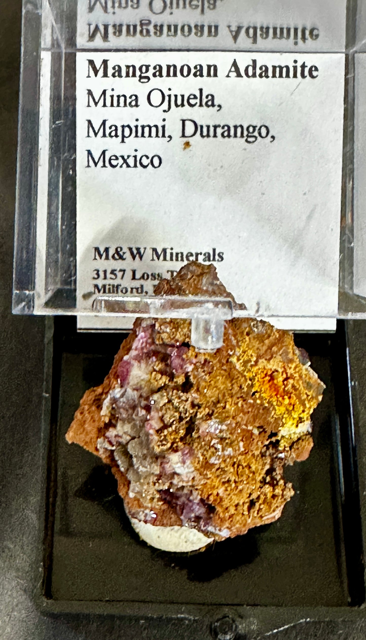 Manganoan Adamite