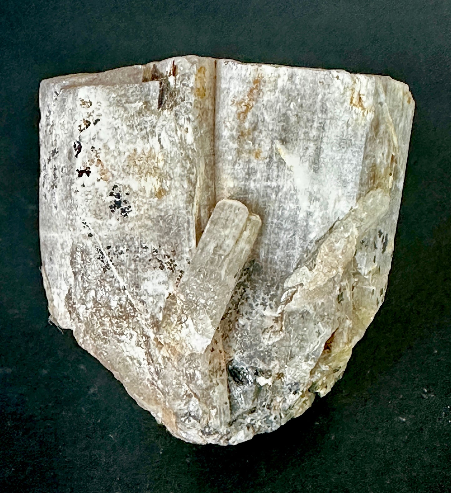 hydroxyapatite "V" twin