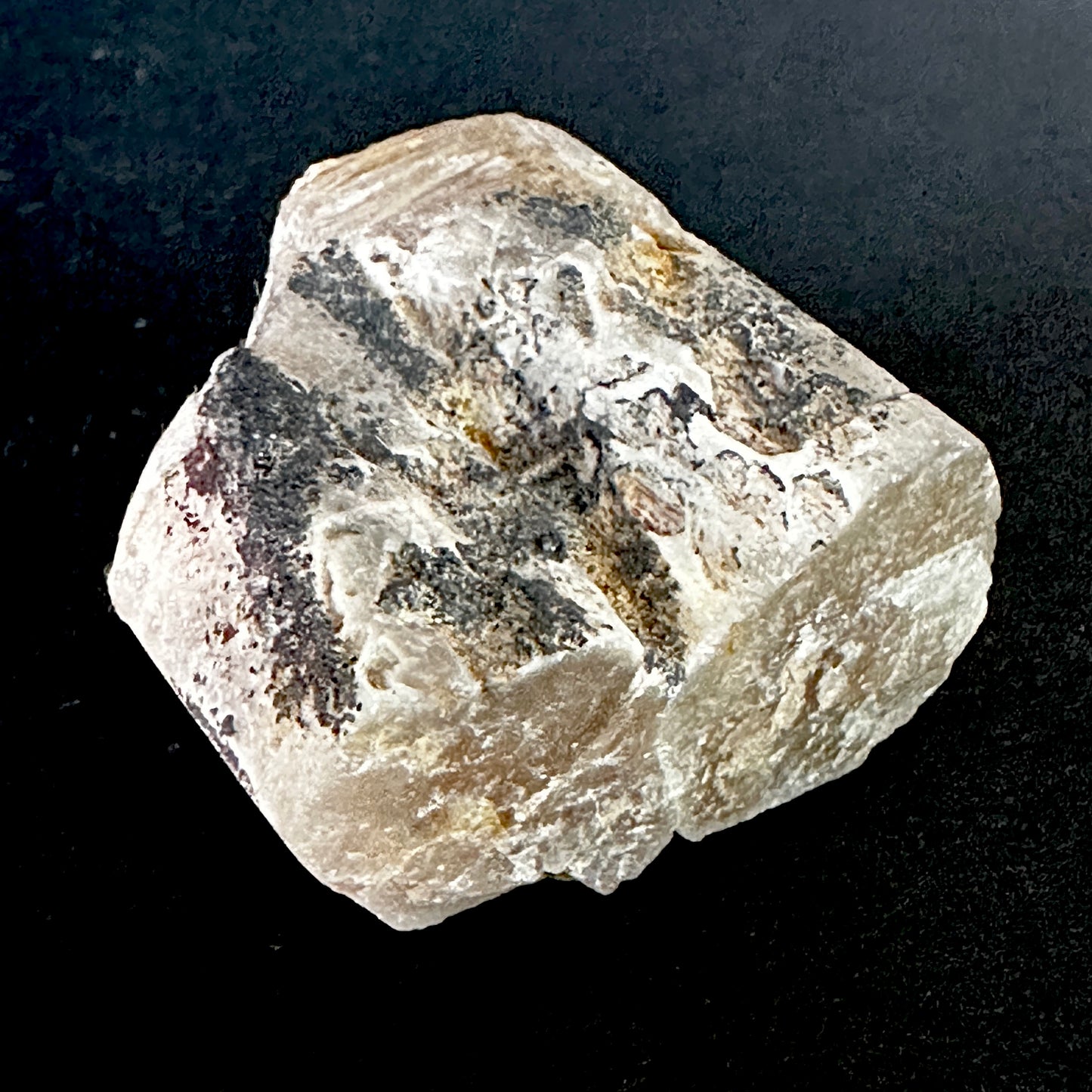 hydroxyapatite "V" twin