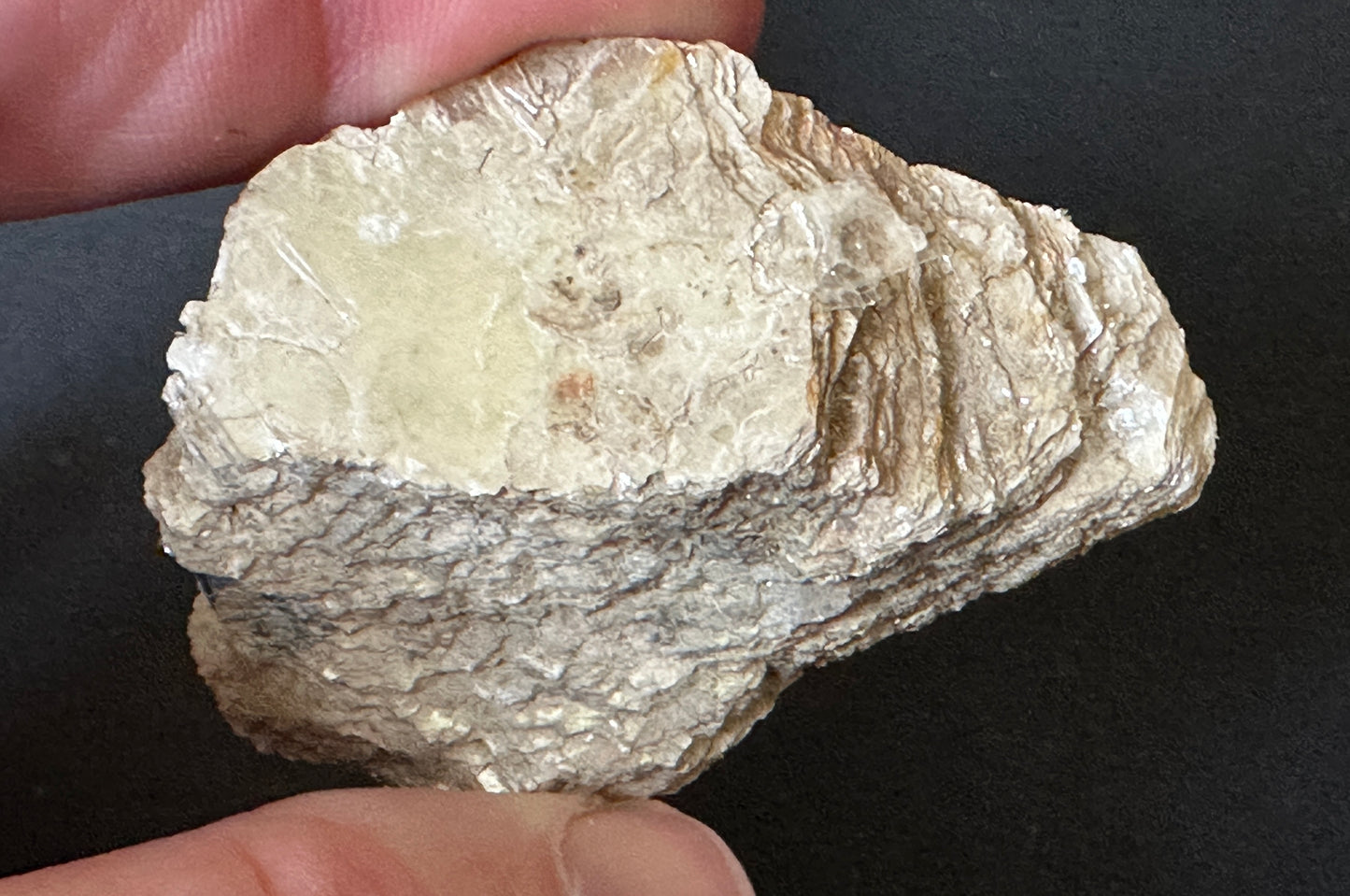 Golden Muscovite Mica