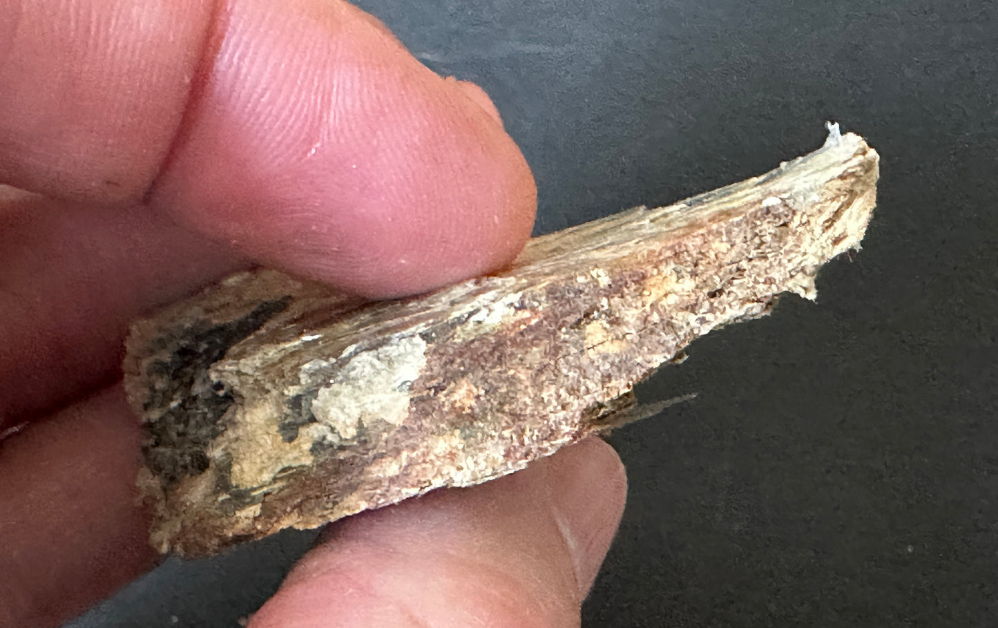 Golden Muscovite Mica