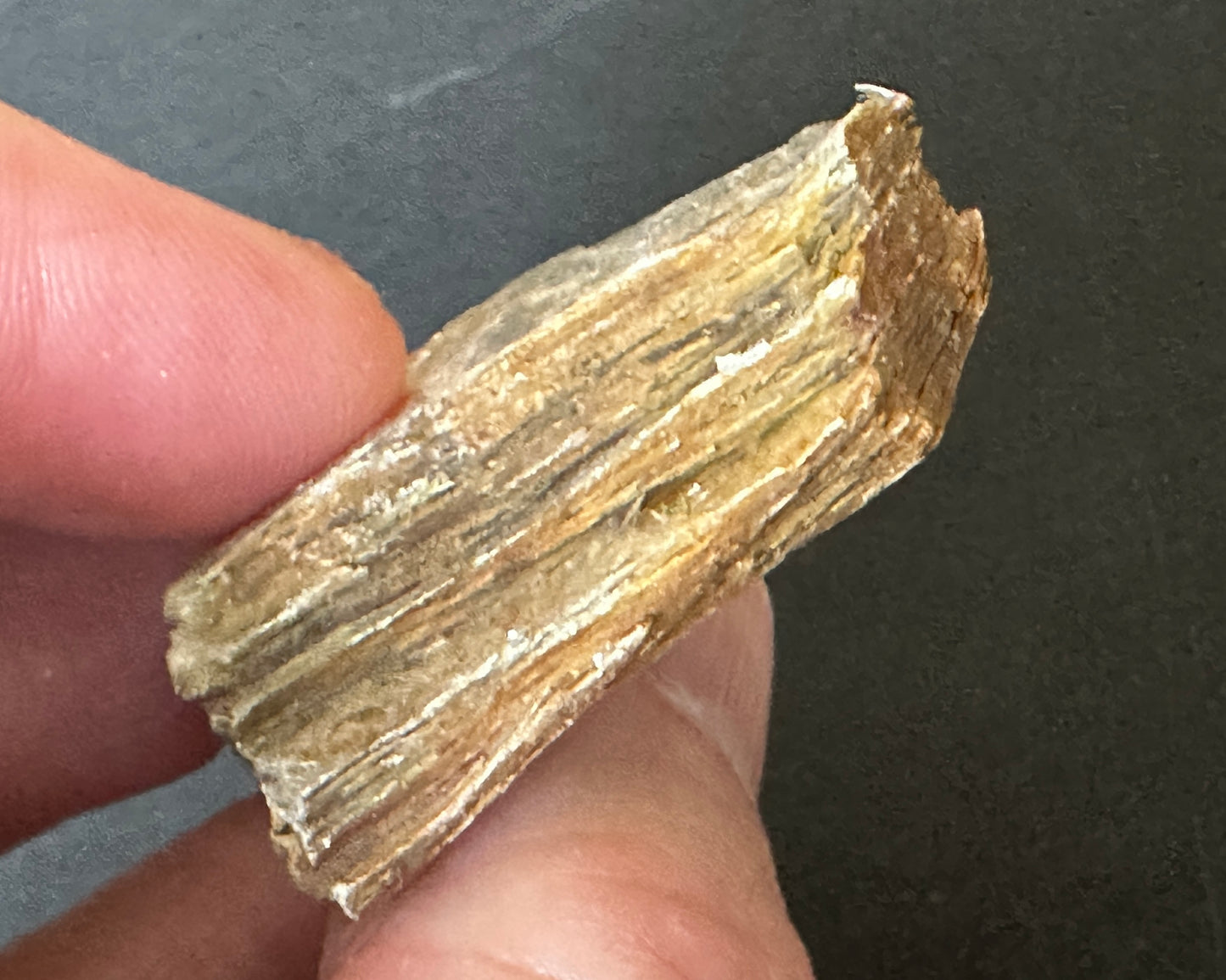 Golden Mica