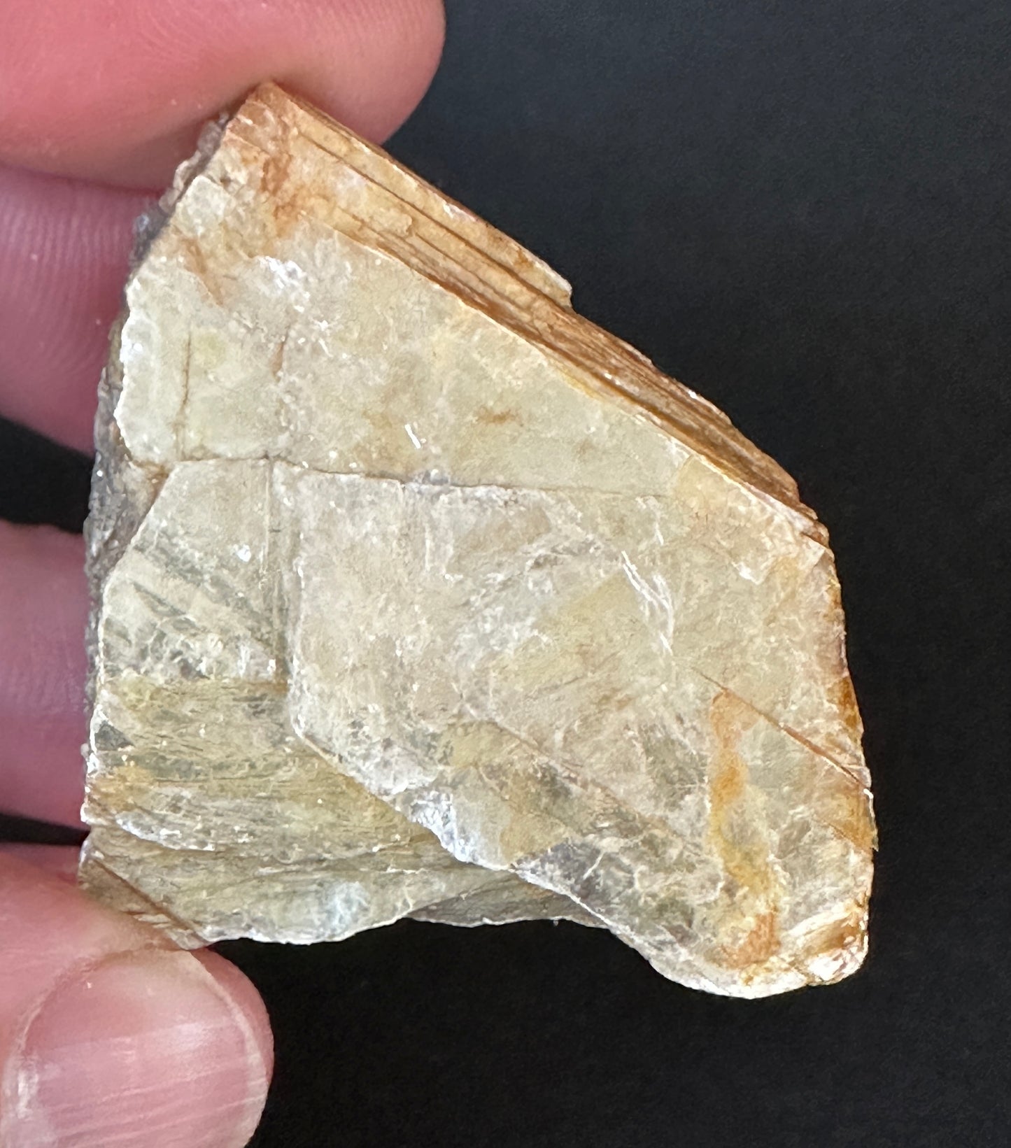 Golden Mica
