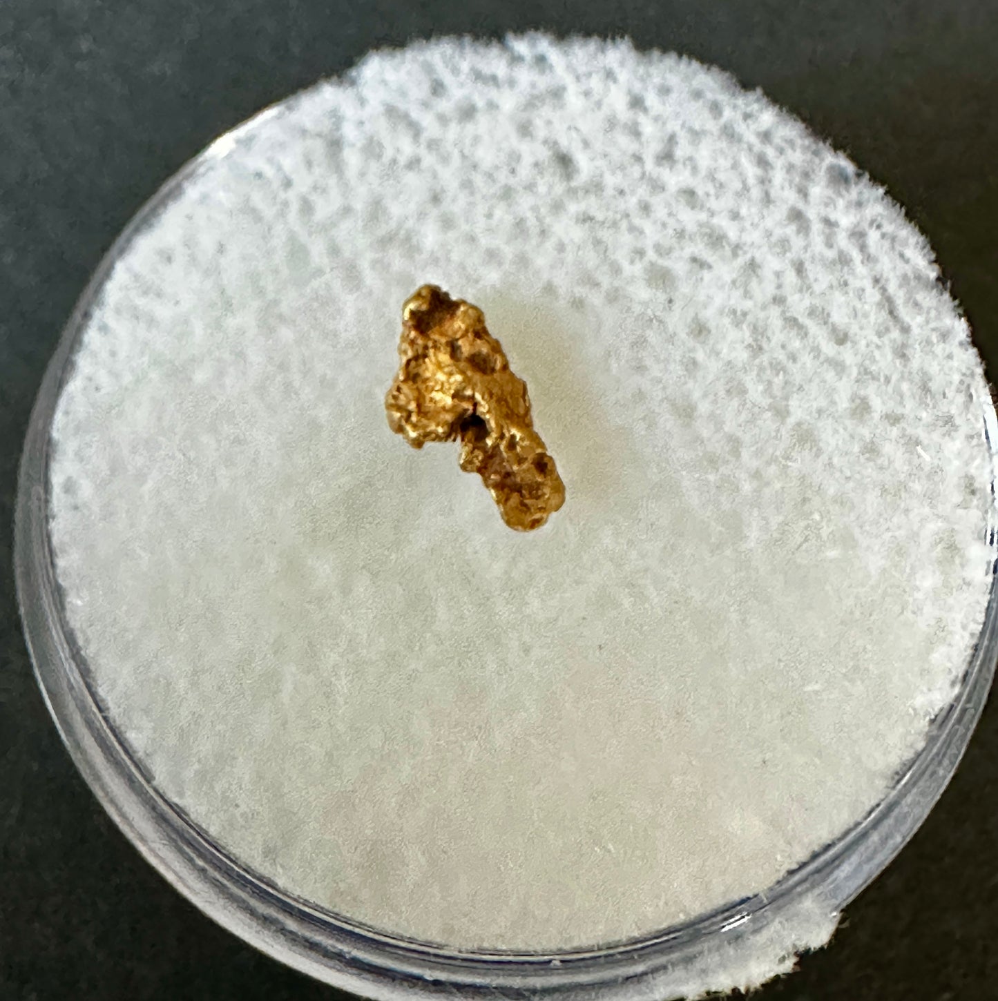 Lapland Gold