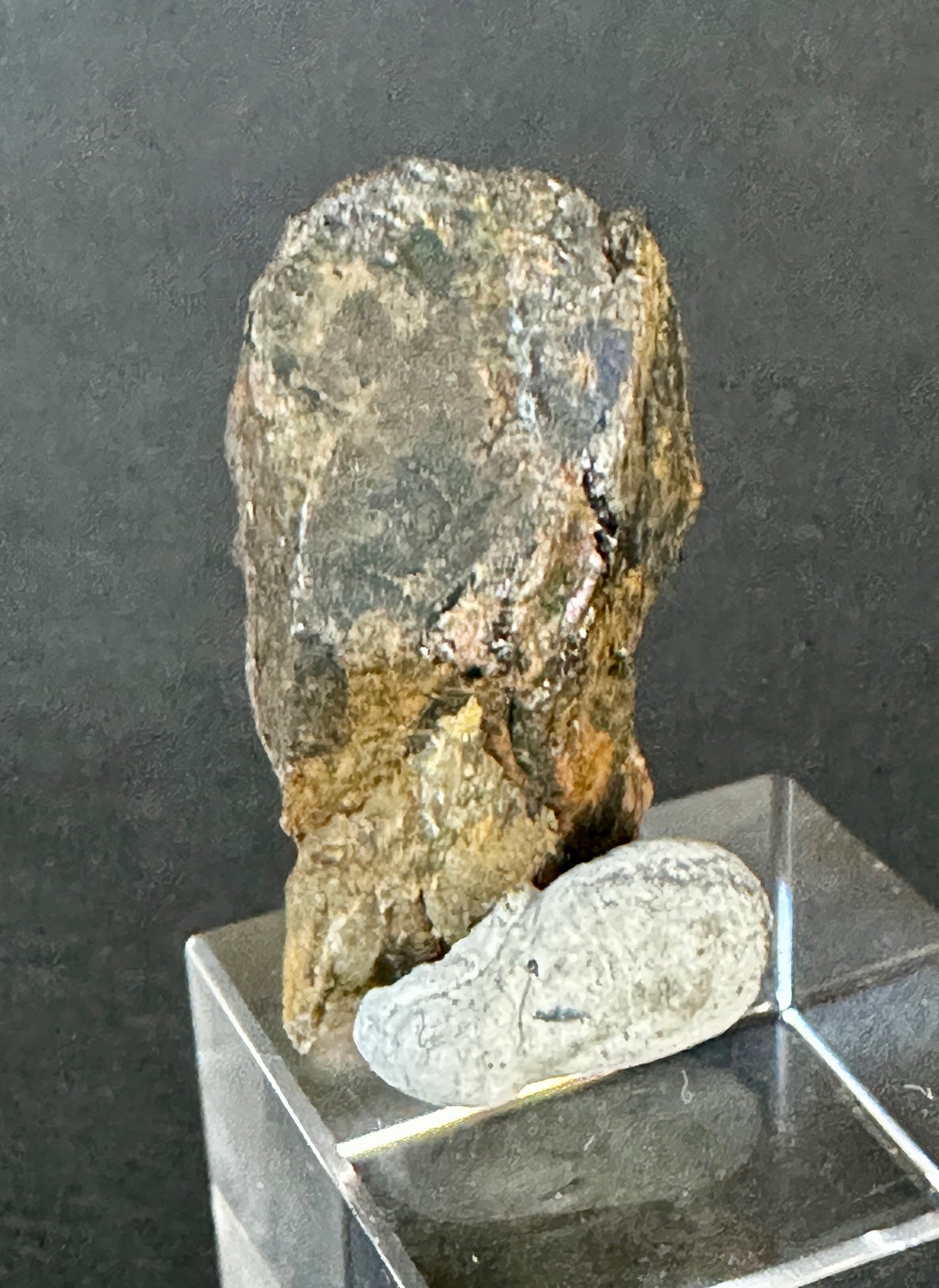 Gadolinite