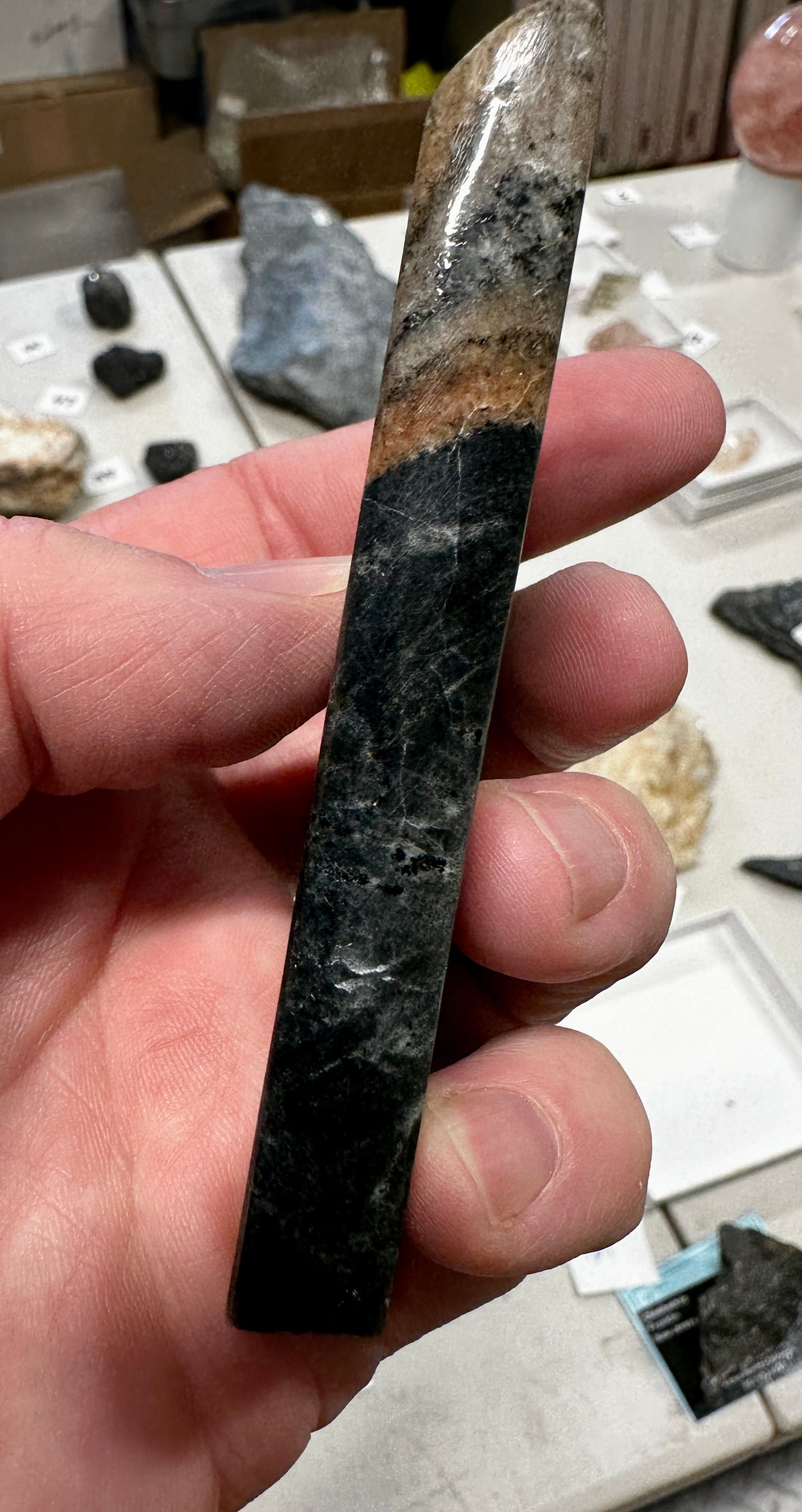 Orbicular Granite
