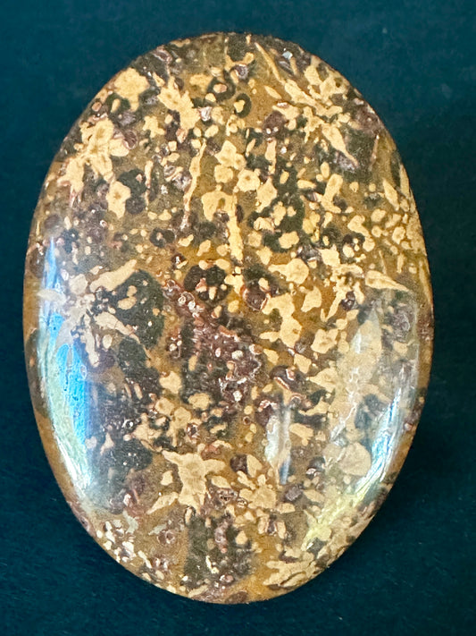 Fossil Stone