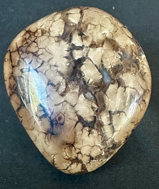 Stephanite (stromatolite)