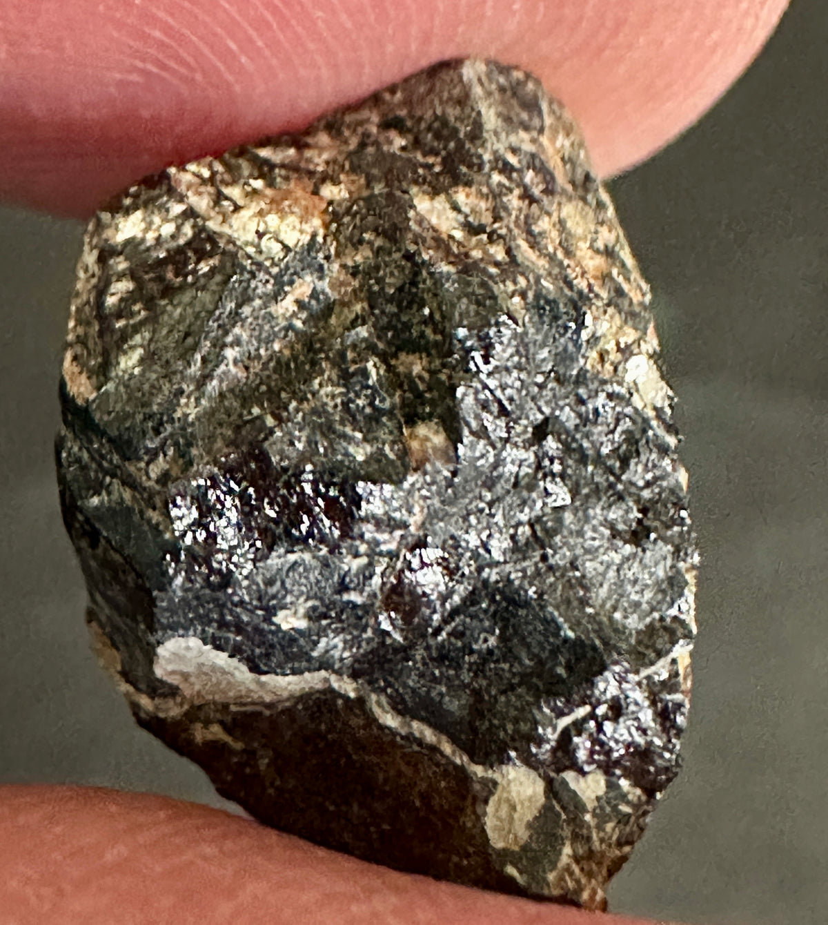 Fe-rich Wodginite