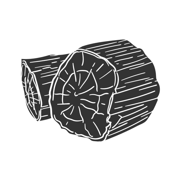 Treasure Hunt! McAgates & Petrified Wood. April 11th, 2026