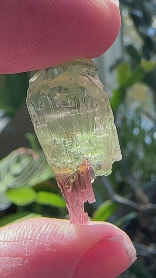 Tourmaline Scepter