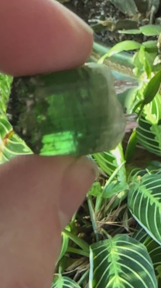 Tourmaline Scepter