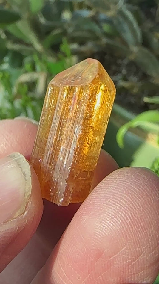 Imperial Topaz