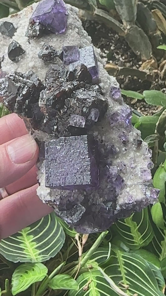 Fluorite - Sphalerite - Calcite