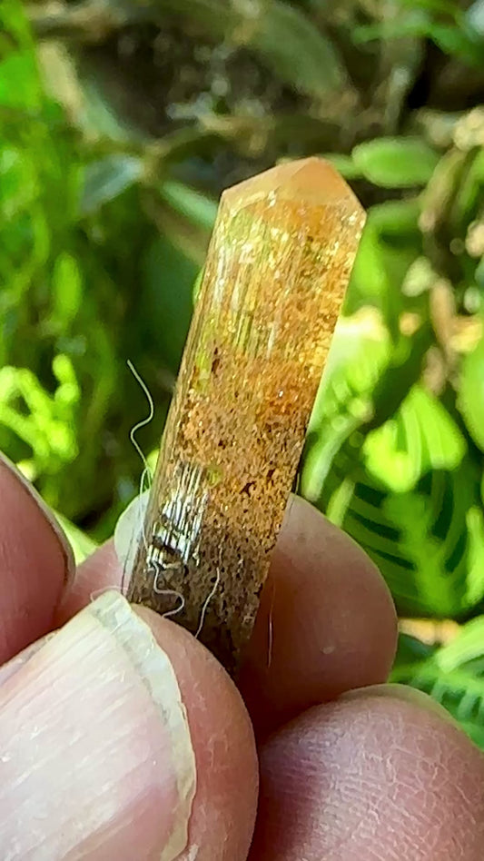 Imperial Topaz