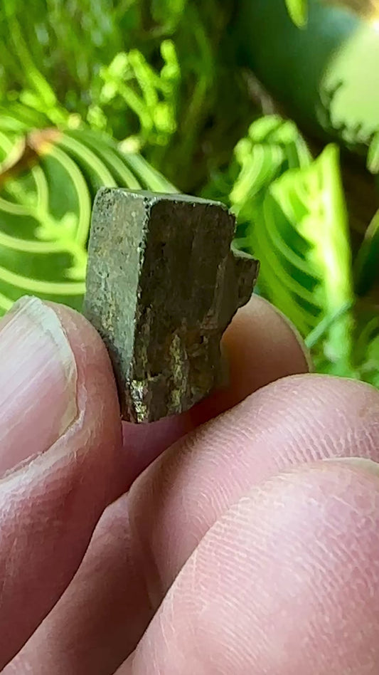 Pyrite from Utah