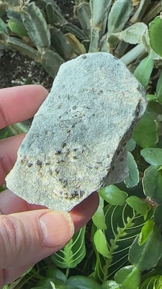 Uvite (tourmaline) in Marble