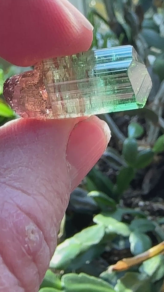 Tourmaline Scepter