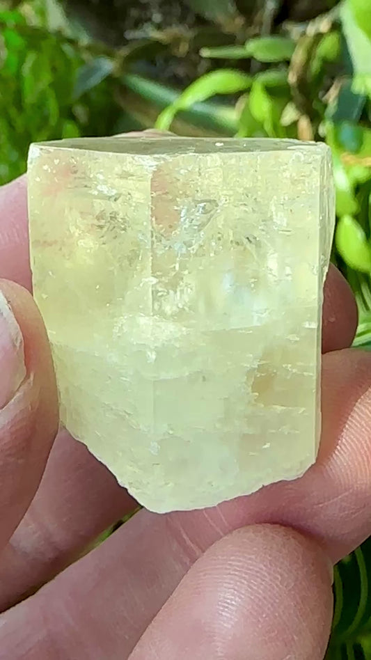 Beryl var: Goshenite